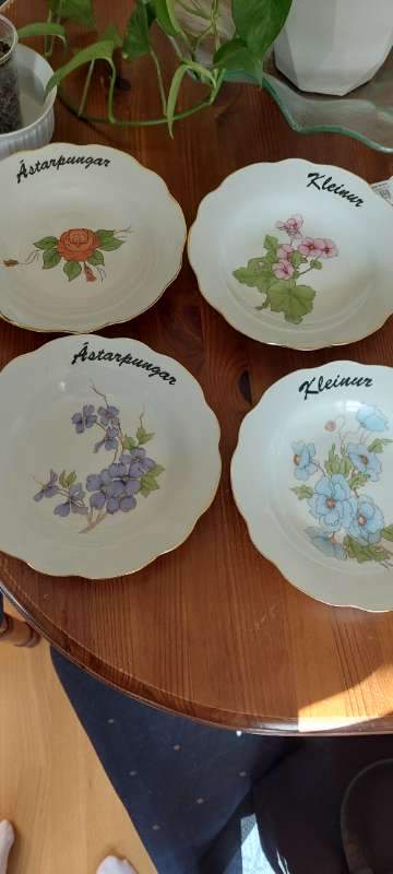 Ástapungar og kleinur (postulín)